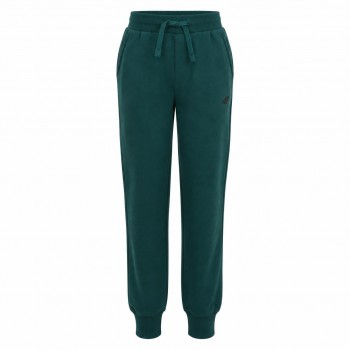 Παιδικό παντελόνι φόρμας για αγόρια 4F slim fit κυπαρισσί